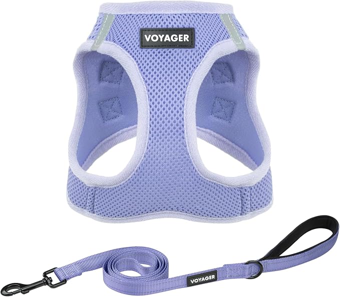 Best Pet Supplies Voyager Step-in Air All Weather Mesh Harness and Reflective Dog 5ft Leash Combo with Neoprene Handle, for Small, Medium and Large Breed Puppies - Lavender, XXS by BestPetSuppliesLLC