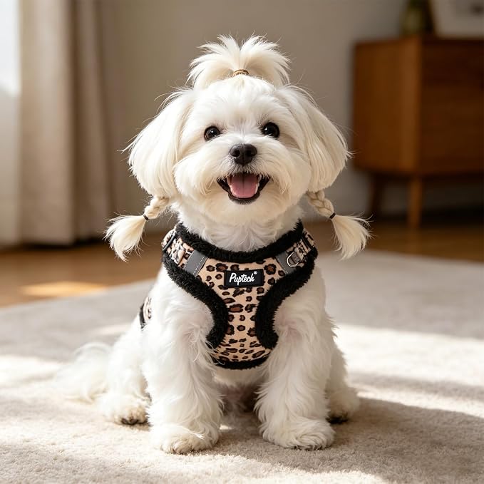 PUPTECK Dog Harness and Leash Set Small Sized, Step in No Pull Adjustable Puppy Cat Harness Reflective Pet Vest - Image 6