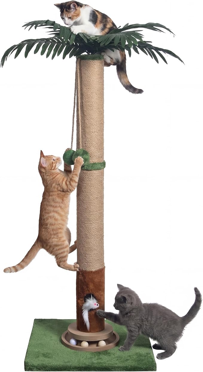 Fantasreen Cat Scratching Post 35'' Tall with Toy Mouse for Indoor Cats, Green by Fantasreen