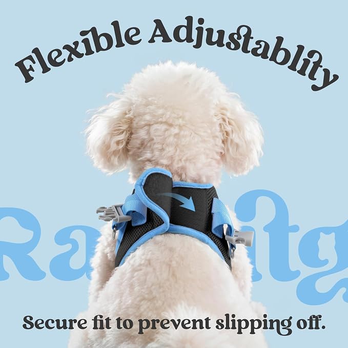 rabbitgoo Dog Harness Small Sized and Leash Set, Step in Soft Vest | Breathable Mesh, Easy Wear with Hook & Loop, Light and Reflective for Walking, Multi-colored, Black & Blue, S - Image 6