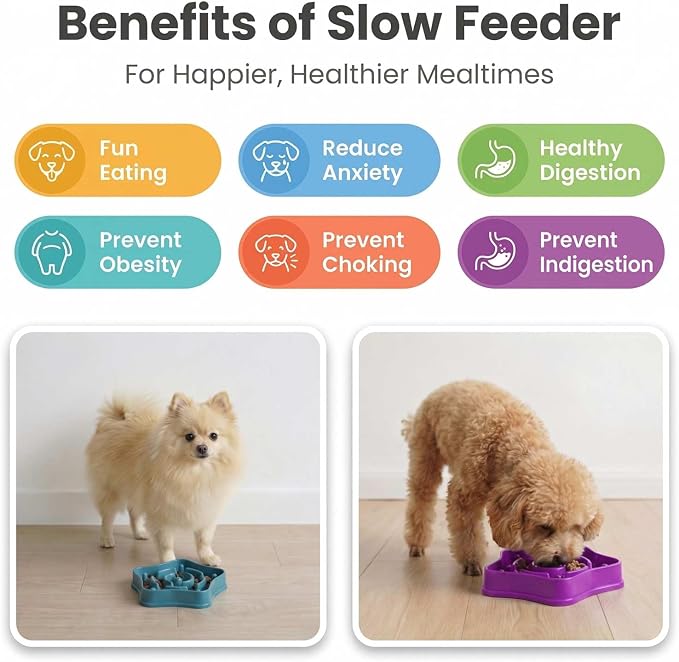 2 Pack Slow Feeder Dog Bowls, Turquoise & Purple, 1 Cup (350ml) Maze Puzzle Bowl for Puppies & Small Dogs, Slow Eating, Anti-Choking, Aid Digestion, Non-Slip, BPA-Free, Dishwasher Safe - Image 7
