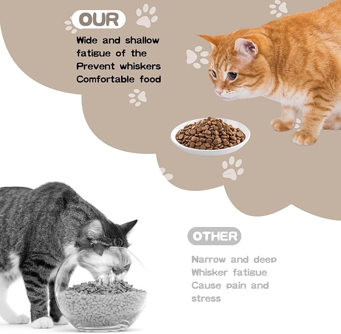 6 Pack Cat Food Bowl, Ceramic Cat Bowls, Anti Whisker Fatigue Cats Bowl Set | 5.5 Inches Shallow Wide Kitten Plates for Food and Water (White-A) - Image 3