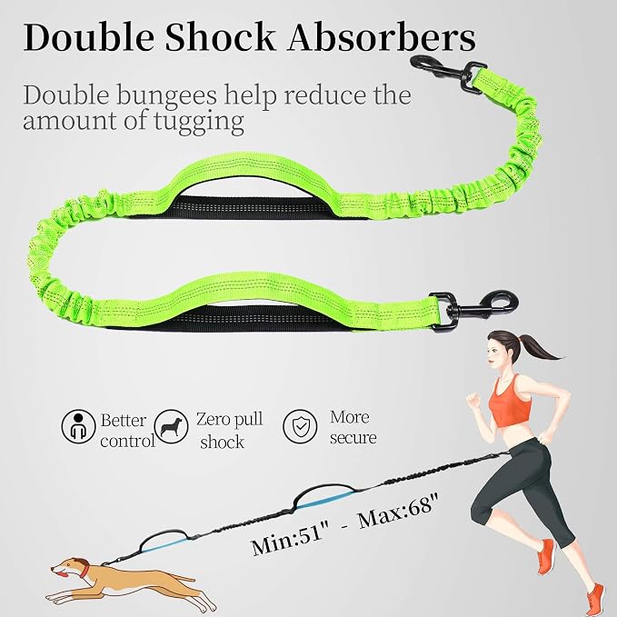 Hands Free Dog Leash with Zipper Pouch, Large, 25-120 lbs, Green | Waist Leash, Dual Padded Handles, Shock-Absorbing Bungee, Adjustable Waist Belt, Walking and Running - Image 5