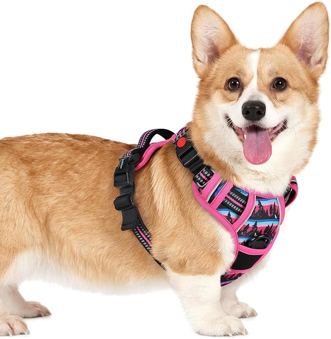rabbitgoo Dog Harness Small Sized, Updated Easy On & Off with 3 Buckles | No Pull No Choke, Walking with 2 Clips and Handle, Adjustable Soft Reflective, Mountain Rose, Small by rabbitgoo