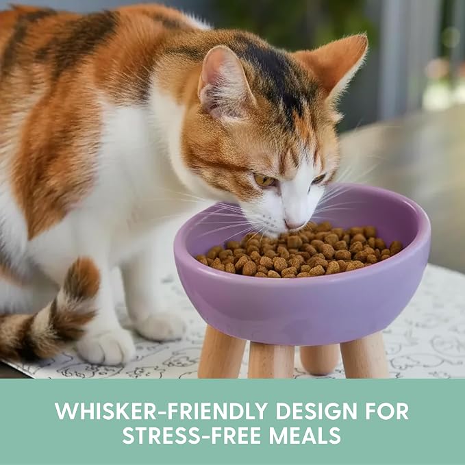 The Cat Ladies Tilted Ceramic Cat Bowl - Elevated Food Bowls Ceramic Pet Bowl - Raised Ceramics Bowls - Elevated & Tilted Design for Comfortable Eating - Dishwasher Safe - Wide Opening - Image 4
