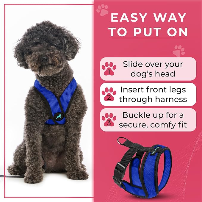 Gooby Comfort X Head-in Dog Harness, Choke-Free, Blue, Large | Patented choke-free X-frame; Secure head-in fit; Lightweight breathable mesh; Back metal D-ring; Machine washable - Image 8