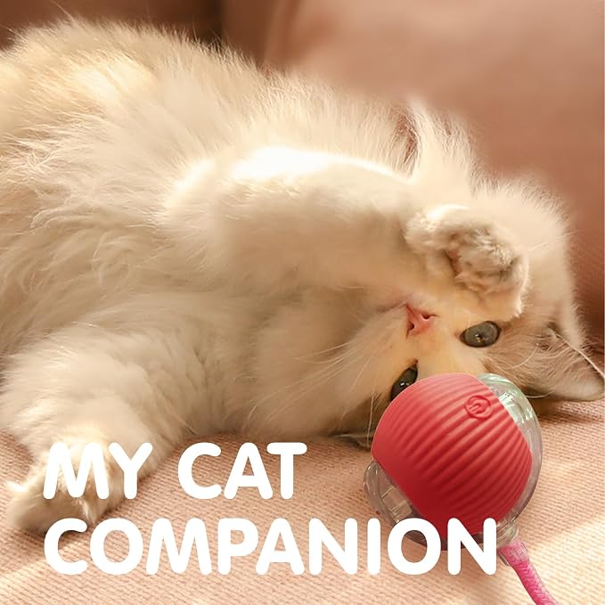 Rocfish Durable Interactive Cat Toys for Indoor Cats (red, 01) | Smart Automatic Cat Chase Ball Toy, Upgraded Speedy Tail Kitten Toy for Bored Indoor Adult Pets - Image 8