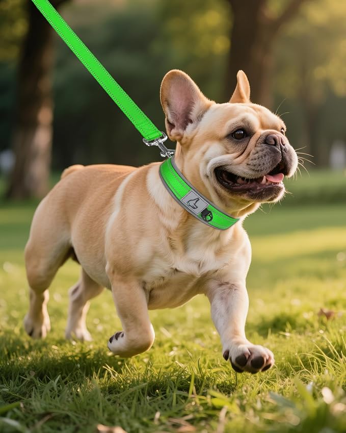 Joytale Reflective Dog Collar for Small Dogs with Wide Padding, Green | Soft Cushion Reduce Neck Strain, Night Safety Walking, Metal Buckle and Adjustable Eyelets, Separated Dog ID Tag Ring - Image 6