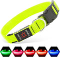Illumifun LED Dog Collar, Rechargeable Light Up Collars, Reflective Safety Collar Light for Nighttime Walking Camping (GreenⅢ, Medium) by Illumifun