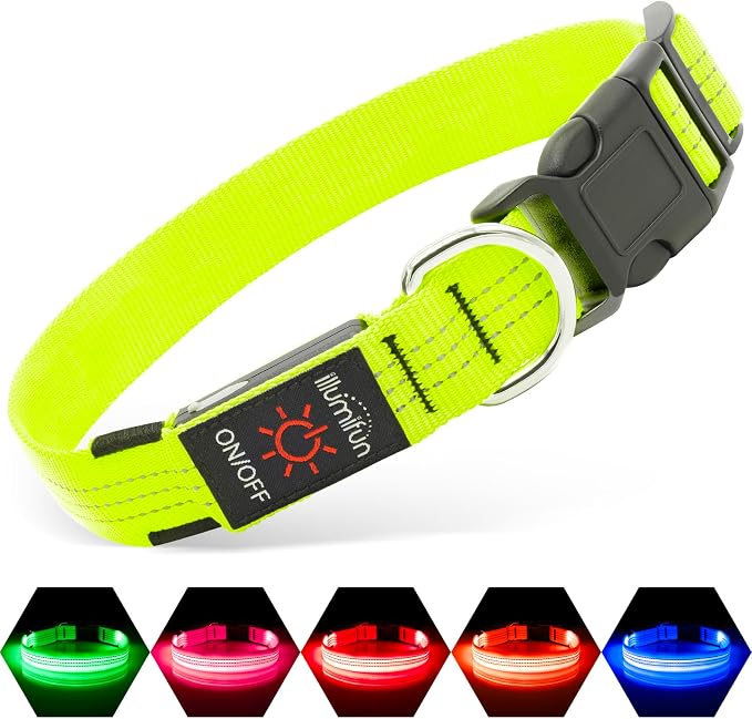 Illumifun LED Dog Collar, Rechargeable Light Up Collars, Reflective Safety Collar Light for Nighttime Walking Camping (GreenⅢ, Medium) by Illumifun