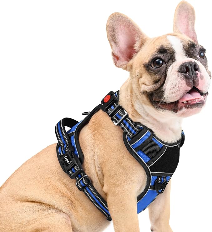 Eagloo Dog Harness No Pull for Medium Dogs, Easy On & Off with 3 Buckles | No Choke with Front Clip, Adjustable Fit, MOLLE System, Reflective Vest, Easy Control for Walking, Black & Blue, Medium by GoExplorewithEagloo