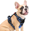Eagloo Dog Harness No Pull for Medium Dogs, Easy On & Off with 3 Buckles | No Choke with Front Clip, Adjustable Fit, MOLLE System, Reflective Vest, Easy Control for Walking, Black & Blue, Medium by GoExplorewithEagloo