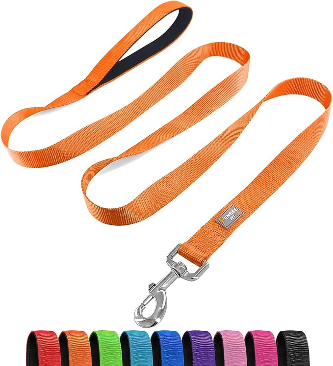 6 FT Reflective Dog Leash for Medium Dogs,Orange | Padded Handle,Metal D-Ring,Heavy Duty Nylon Webbing, for Walking & Training by Penseepet