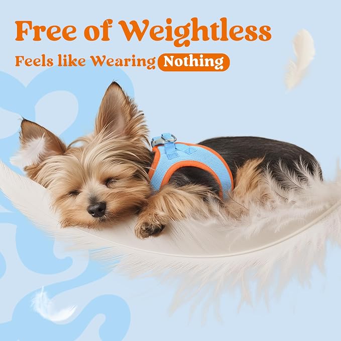 rabbitgoo Step-in Small Dog Harness, Puppy Vest for Small Sized Pet | Easy Put on and off, Lightweight, Soft, Breathable Quick-Dry Air Mesh for Comfortable Secure Walking, Blue & Orange M - Image 5