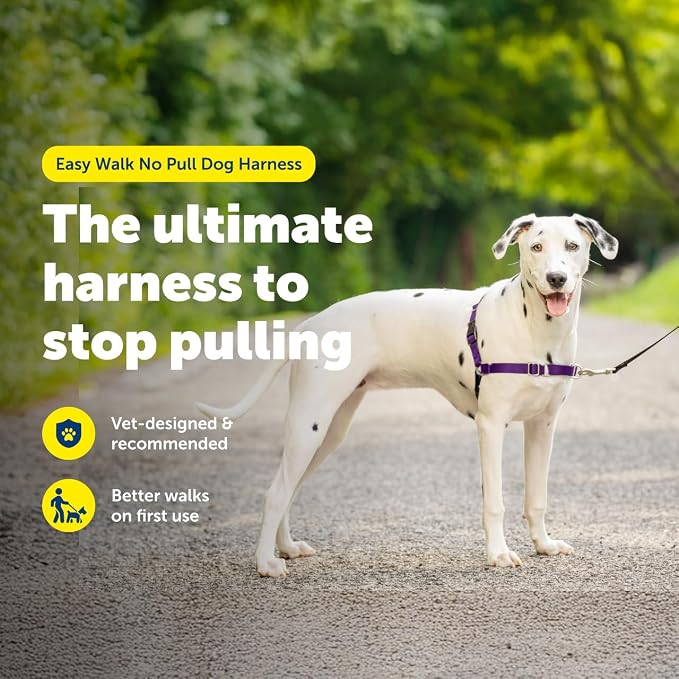 PetSafe Easy Walk Harness, No Pull Dog Harness, Black, Medium/Large | Patented Martingale Loop Gives Gradual Shoulder Pressure to Stop Pulling, Front-Chest Leash Clip Prevents Gagging - Image 2