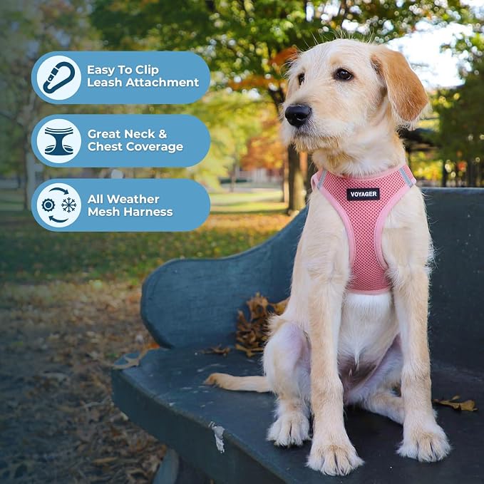 Best Pet Supplies Voyager Step-in Air All Weather Mesh Harness and Reflective Dog 5ft Leash Combo with Neoprene Handle, for Small, Medium and Large Breed Puppies - Pink, XX-Small - Image 6