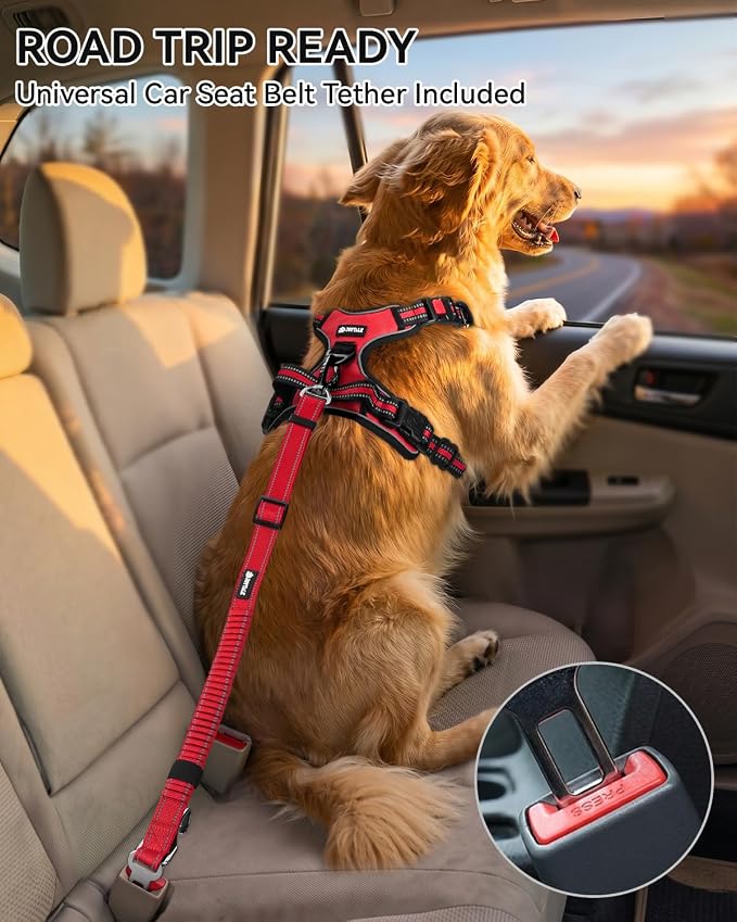 Joytale No Pull Dog Harness & Seat Belt, Easy On 3-Buckle, S, Red | Front Clip Reduces Pulling, Escape-Resistant Design, Adjustable Fit, Soft Padding for Comfort, Secure Tether for Safer Travel - Image 3