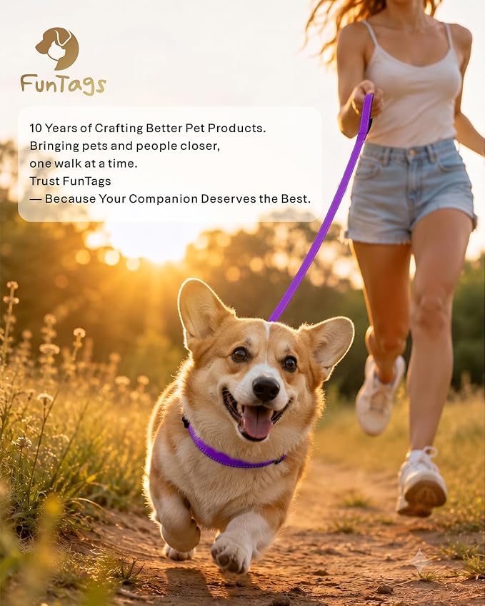 FunTags Reflective Nylon Dog Leash for Medium & Large Dogs, 6FT for Walks | Comfortable Padded Grip, Stay Safe at Night, 360° Anti-Tangle Swivel, for Dog Parks & Trails, Purple - Image 9