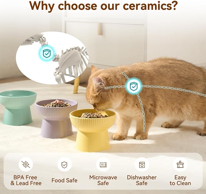 Ceramic Elevated Cat Bowls-Water Bowl, 15° Tilted Design, Anti-Vomiting & Spine Protection, Prevent Whisker Fatigue for Kittens to Adult Cats and Small Dogs (White-15° Cat Bowls-2) - Image 4