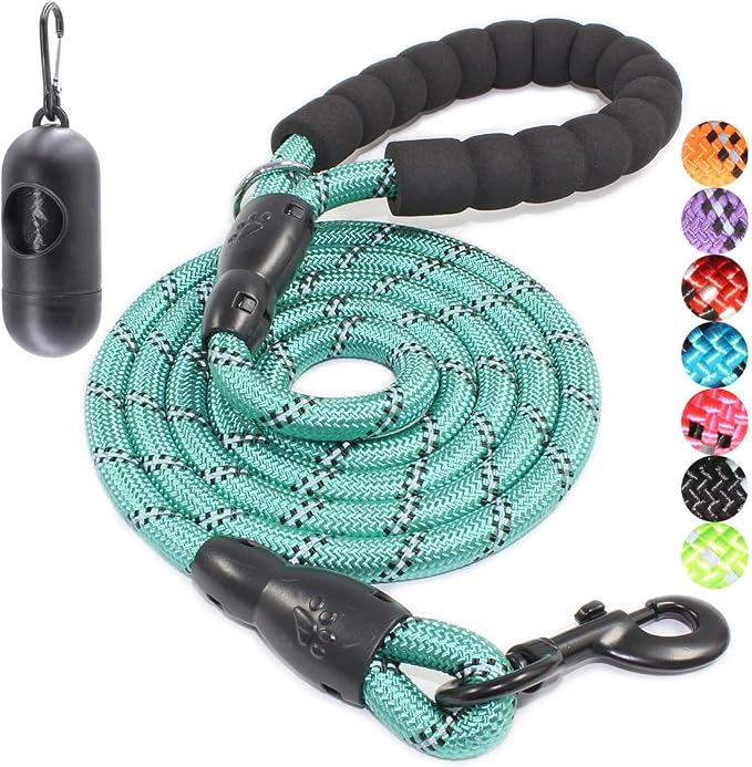 2/4/5/6 FT Dog Leash with Comfortable Padded Handle and Highly Reflective Threads for Small Medium and Large Dogs (6FT-1/2'', Turquoise) by BAAPET