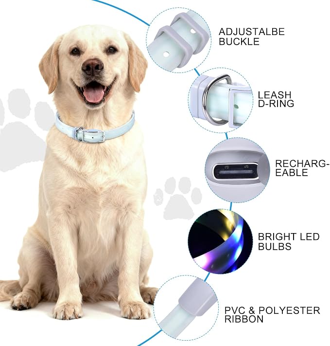 Lighted Dog Collar, Rechargeable Light Up Pet Collar, Waterproof LED Dog Collar Glow in the Dark, Make Pet Visible and Safety for Night Walking for Small Medium Large Dogs (Purple) - Image 4