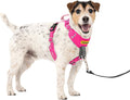 PetSafe Easy Walk Comfort No Pull Dog Harness, Pink, Small | Stops Pulling on First Use with Front Martingale Loop, Full-Body Padding, 5-Point Adjustable Fit by PetSafe