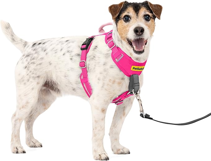 PetSafe Easy Walk Comfort No Pull Dog Harness, Pink, Small | Stops Pulling on First Use with Front Martingale Loop, Full-Body Padding, 5-Point Adjustable Fit by PetSafe