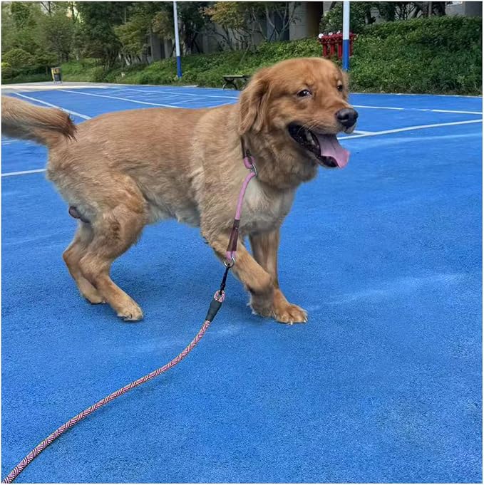 MayPaw 8ft Rope Dog Leash for Large Medium Dogs Soft Handle Dog Lead | 1/2-In Thick Lead, Soft Padded Handle Strong Nylon Pet Leash, 15+ Colors (1/2" * 8', Pink Black) - Image 6
