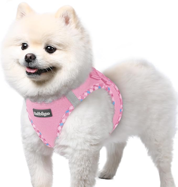 rabbitgoo Step-in Small Dog Harness, Puppy Vest for Small Sized Pet | Easy Put on and off, Lightweight, Soft, Breathable Quick-Dry Air Mesh for Comfortable Secure Walking, Pink & Plaid Trim S by rabbitgoo