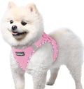 rabbitgoo Step-in Small Dog Harness, Puppy Vest for Small Sized Pet | Easy Put on and off, Lightweight, Soft, Breathable Quick-Dry Air Mesh for Comfortable Secure Walking, Pink & Plaid Trim S by rabbitgoo
