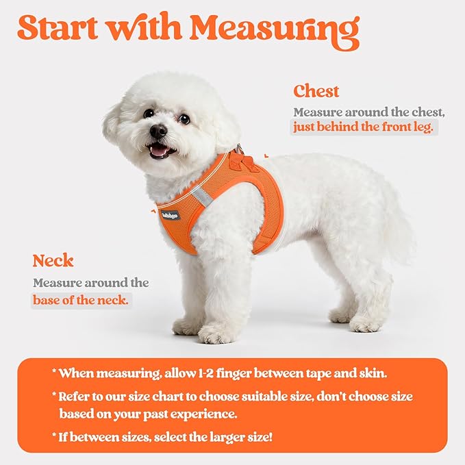 rabbitgoo Dog Harness Small Sized and Leash Set, Step-in Puppy Pet Vest | Light, Soft, Breathable Air Mesh, Easy on and Remove with Hook & Loop, Secure Reflective for Walking, Orange S - Image 2