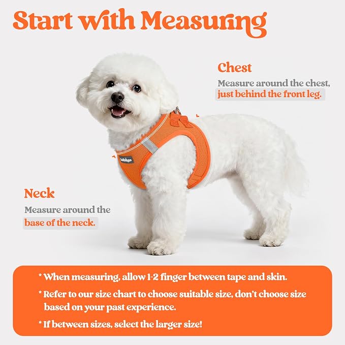 rabbitgoo Dog Harness Small Sized and Leash Set, Step-in Puppy Pet Vest | Light, Soft, Breathable Air Mesh, Easy on and Remove with Hook & Loop, Secure Reflective for Walking, Orange XXS - Image 2
