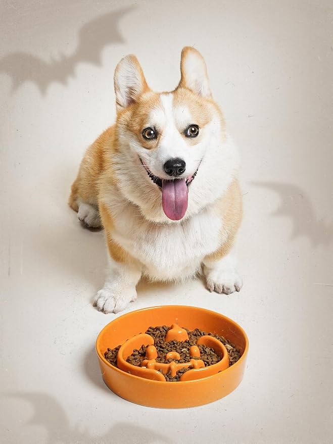 LE TAUCI Ceramic Slow Feeder Dog Bowl for Small Medium Dogs & Puppy, 1.5 Cup Puzzle Food Dish to Slow Down Eating, Pumpkin Orange - Image 7
