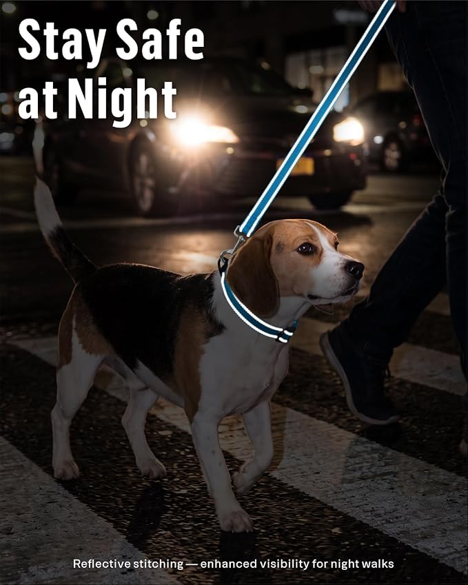 FunTags Reflective Nylon Dog Leash for Small & Medium Dogs, 6FT for Walks | Comfortable Padded Grip, Stay Safe at Night, 360° Anti-Tangle Swivel, for Dog Parks & Trails, Sky Blue - Image 3