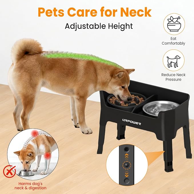 URPOWER Elevated Dog Bowls for Small Dogs, 3-in-1 Raised Stand | 4 Adjustable Heights, 1 Slow Feeder, 2 Stainless Steel Food Bowls, Mess Proof High Wall Splash Guard, Foldable Stand - Image 4