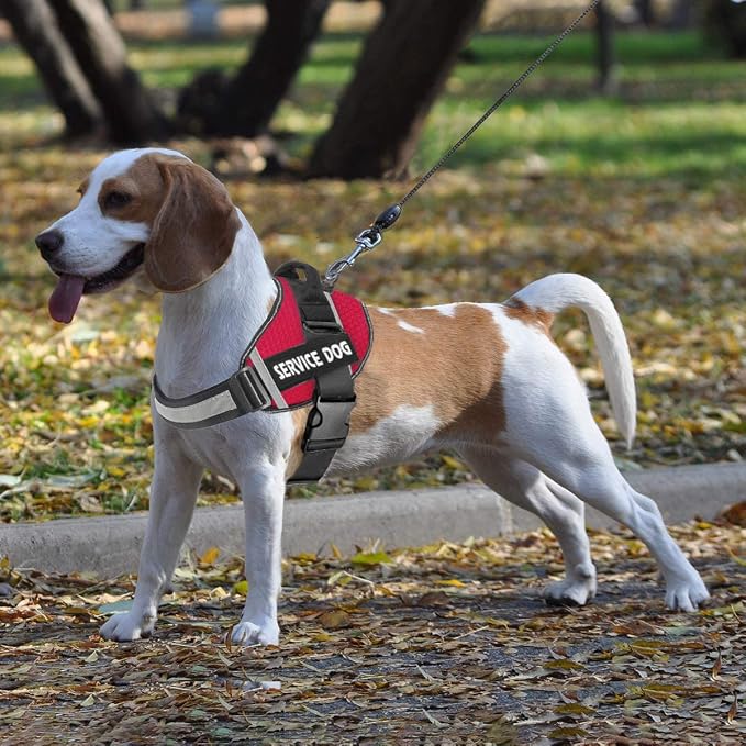 JSXD Dog Harness,No-Pull Service Dog Harness with Handle Adjustable Outdoor Pet Dog Vest 3M Reflective Nylon Material Vest for Breeds,Easy Control for Small Medium Large Dogs - Image 7