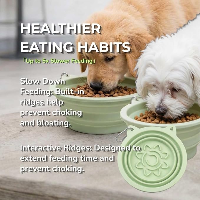 Collapsible Dog Bowls 2 Pack (22oz Each) – Portable Foldable Silicone Travel Bowl Set with Slow Feeder & Carabiner Clip for Hiking Camping Backpack | Dishwasher Safe | for Medium Dogs - Image 5