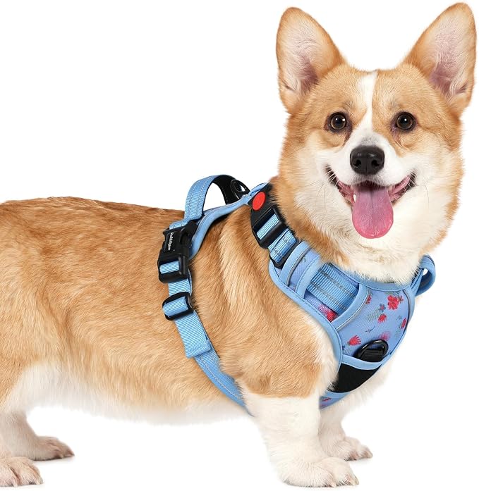 rabbitgoo Dog Harness Small Sized, Updated Easy On & Off with 3 Buckles | No Pull No Choke, Walking with 2 Clips and Handle, Adjustable Soft Reflective, Floral Blue, Small by rabbitgoo