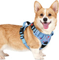 rabbitgoo Dog Harness Small Sized, Updated Easy On & Off with 3 Buckles | No Pull No Choke, Walking with 2 Clips and Handle, Adjustable Soft Reflective, Floral Blue, Small by rabbitgoo