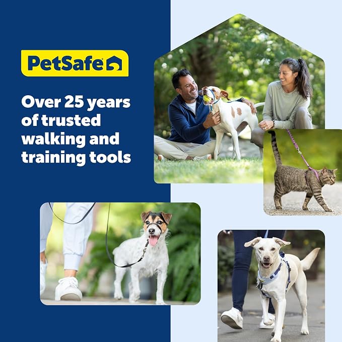PetSafe Easy Walk Harness, No Pull Dog Harness, Fawn, Small | Patented Martingale Loop Gives Gradual Shoulder Pressure to Stop Pulling, Front-Chest Leash Clip Prevents Gagging - Image 10