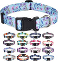Mihqy Dog Collar for Medium Dogs, Fashion Design, Floral Purple,M | Neck Fit 12.9"-21.6", Multiple Patterns, 4 Sizes for Small Medium Large Dogs, Comfortable for Walks and Outdoor Hikes by Mihqy