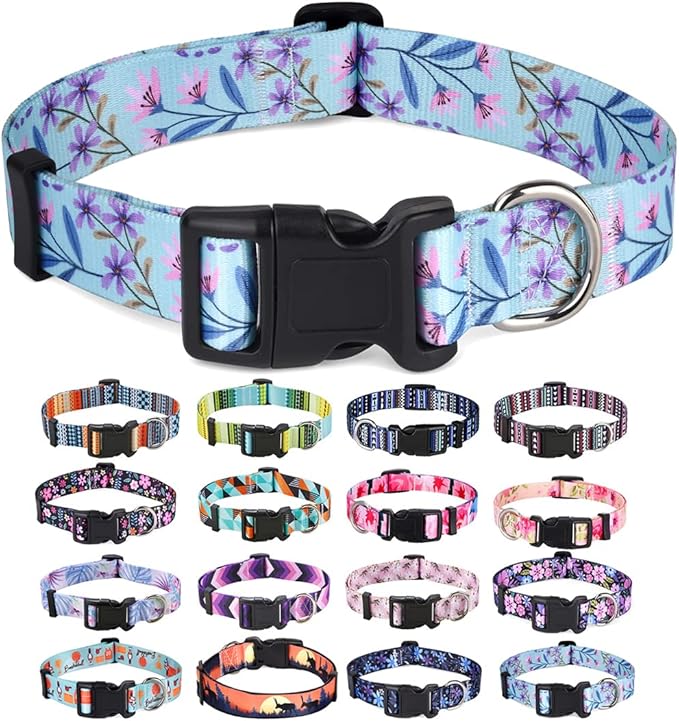 Mihqy Dog Collar for Medium Dogs, Fashion Design, Floral Purple,M | Neck Fit 12.9"-21.6", Multiple Patterns, 4 Sizes for Small Medium Large Dogs, Comfortable for Walks and Outdoor Hikes by Mihqy