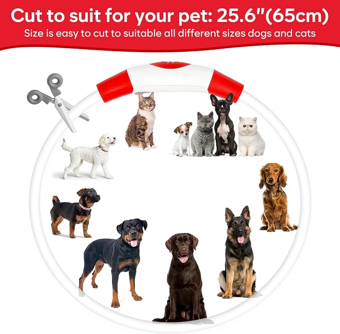 Light Up Dog Collar 2-Pack, USB Rechargeable for Small to Large Dogs | Rechargeable LED Glow Dog Collar with 3 Light Modes, Waterproof, Adjustable 12–25 Inches for Safe Night Walking - Image 5