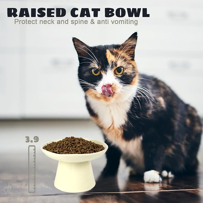 Wide Shallow 6.1" Raised Cat Bowls, Ceramic Elevated Food Plate for Flat Faced Cats and Small Dogs, Porcelain Feeder Bowl, Stress Free, Protect Cat’s Spine, Cream - Image 6