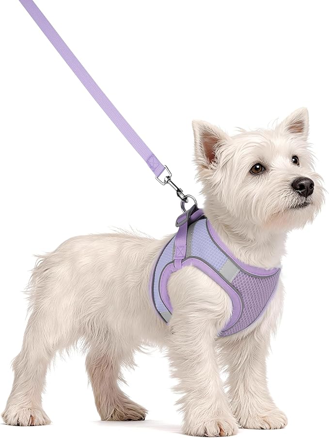 Solmoony Dog Harness for Small Medium Dogs No Pull, Puppy Harness and Leash Set, Puppy Harness for Small Dogs, Step in Harness for Small Dogs, Small Dog Harness, mesh Dog Harness. (Purple, XXS) - Image 2