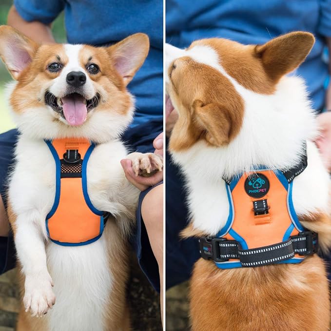 Reflective Dog Harness Large Breed Adjustable No Pull Vest | with Handle 2 Metal Rings 3 Buckles [Easy to Put on & Take off](XL,Orange) - Image 7