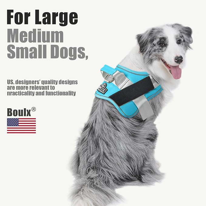 Dog Harness, No-Pull Reflective Dog Vest, Breathable Adjustable Pet Harness with Handle for Outdoor Walking - No More Pulling, Tugging or Choking (OceanicBlue, X-Large (Pack of 1)) - Image 5