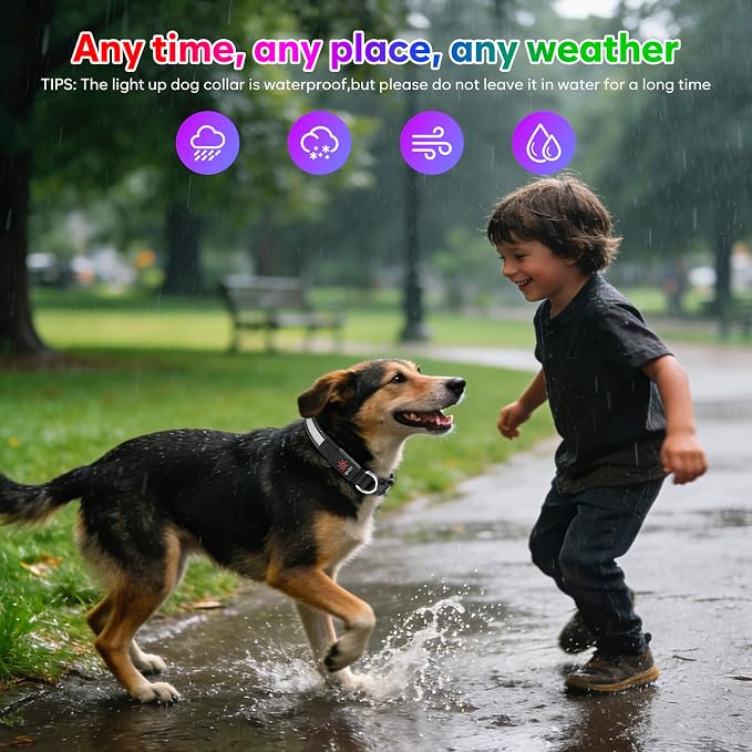Weesiber Light Up Dog Collar, USB Rechargeable LED Dog Collar Glow in The Dark, Adjustable Reflective Waterproof Dog Collar Light for Night Walking (RGB, M) - Image 8