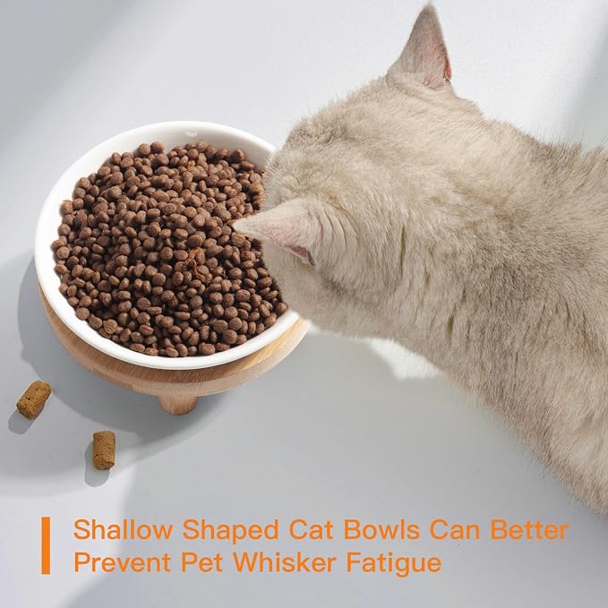 Shallow Elevated Cat Bowls, 2, White (Fish Bone), Bamboo Stand | 5.9 Inch Wide, Ceramic Dishes, Whisker Friendly, Raised Pet Food, Adjustable - Image 6