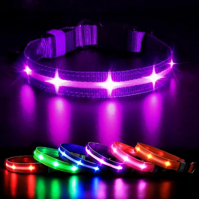 MASBRILL Led Dog Collar - Rechargeable, Water-Resistant, Flashing Glowing Collar for Night Walking - S(15.75 * 0.98in) by MASBRILL